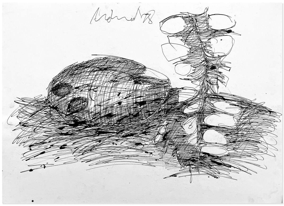 Florian Mehnert, Dragonfly Ink Drawings, 1997-2005