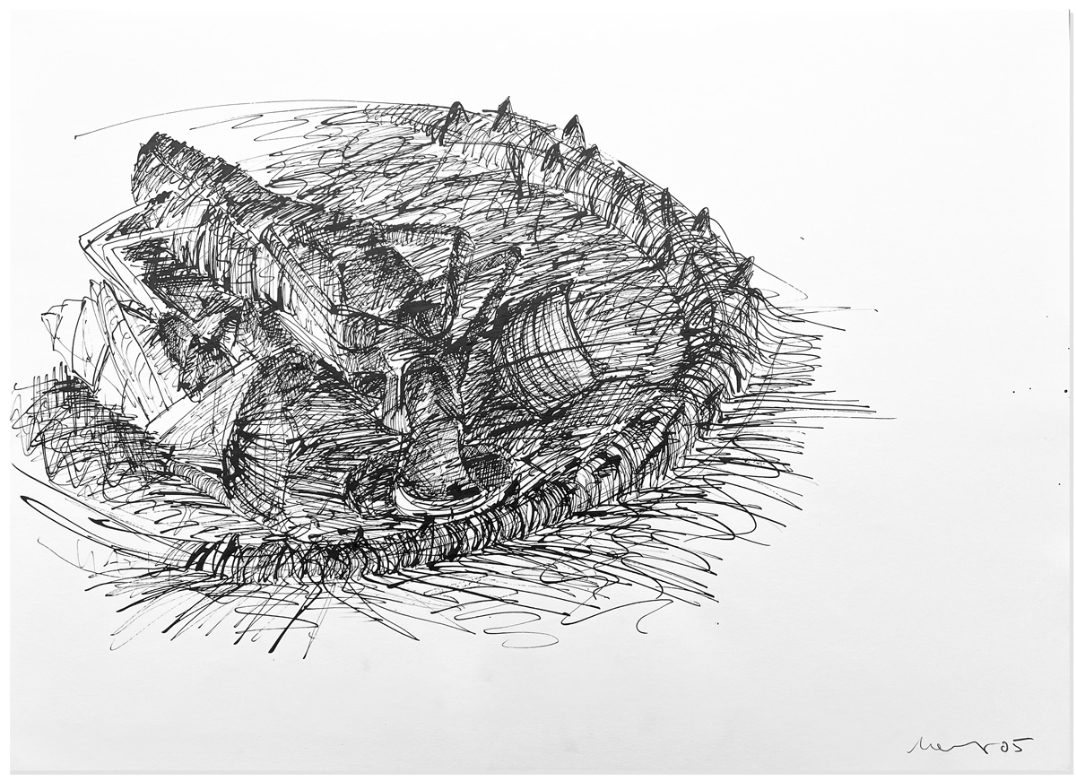 Florian Mehnert, Dragonfly Ink Drawings, 1997-2005