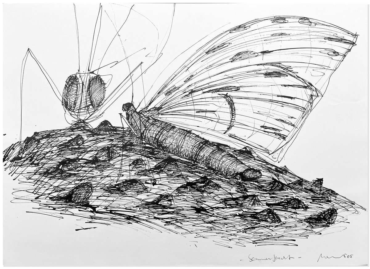 Florian Mehnert, Dragonfly Ink Drawings, 1997-2005