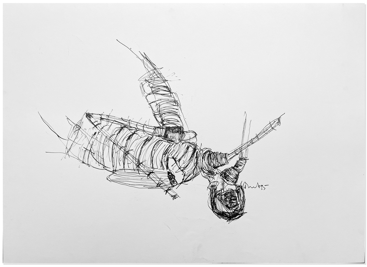 Florian Mehnert, Dragonfly Ink Drawings, 1997-2005
