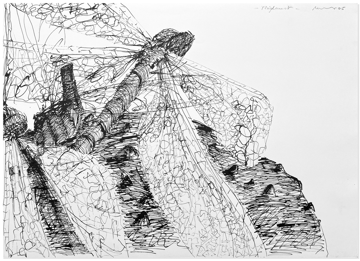 Florian Mehnert, Dragonfly Ink Drawings, 1997-2005