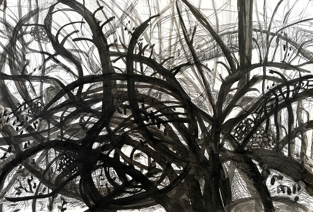 Large Drawings