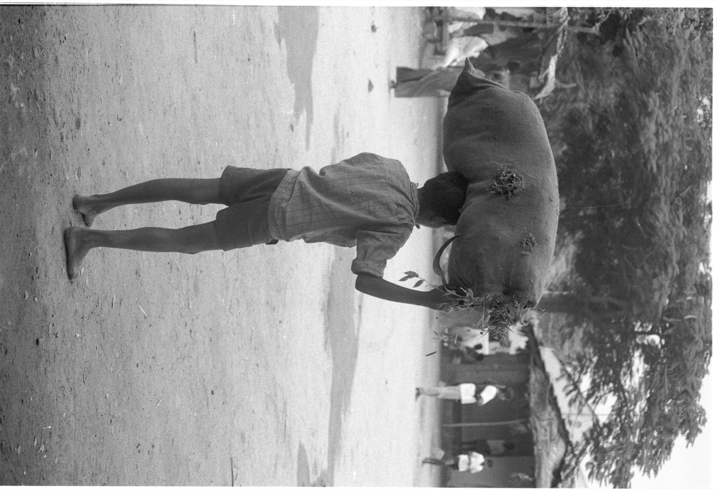 Florian Mehnert, Photography India, Social Systems