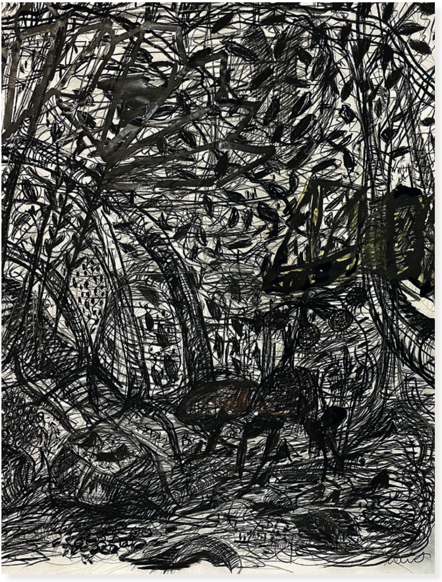Florian Mehnert, Wood Systems, 2025, charcoal on paper