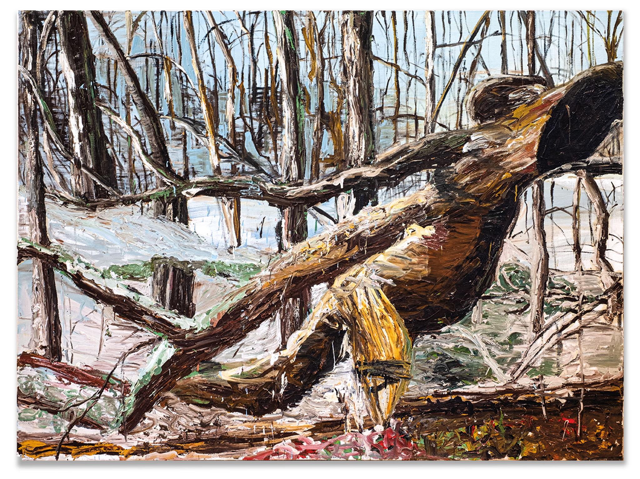 Wurzel, Oil on canvas, 240 x 180 cm, 2008